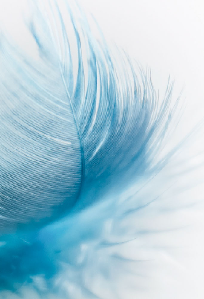 L.E. Aula 139 — As virtudes e os vícios — Parte 2/2