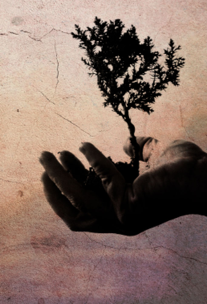 L.E. Aula 142 — Caracteres do homem de bem