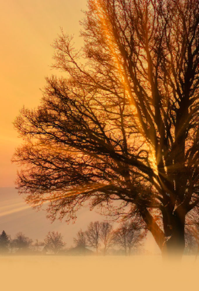 L.E. Aula 153 — Intuição das penas e gozos futuros
