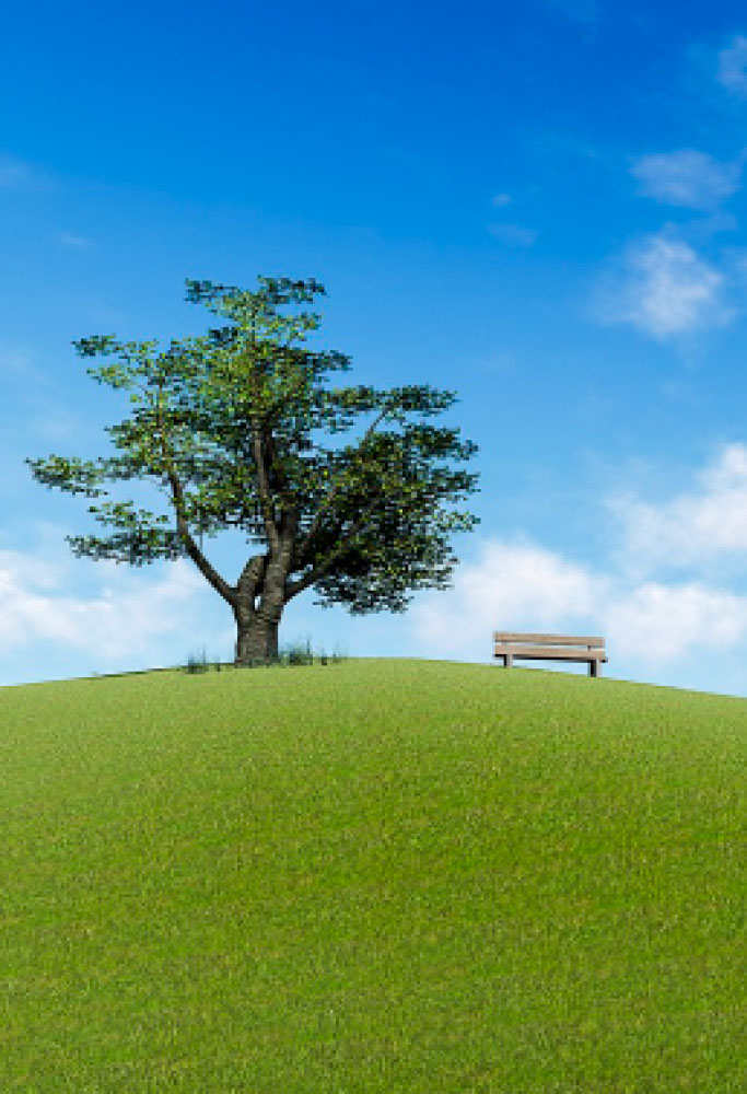L.E. Aula 82 — Objetivo da adoração