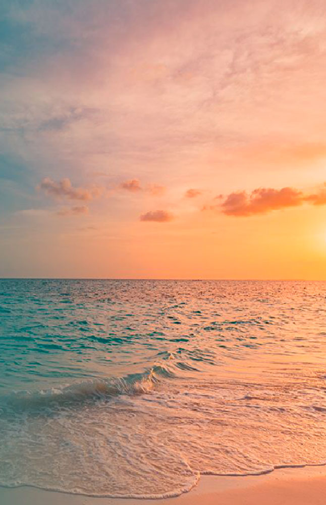 São chegados os tempos