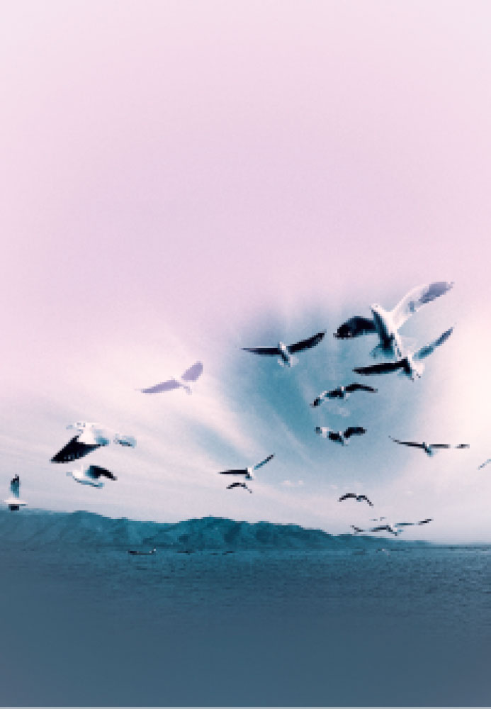 A eficácia da prece