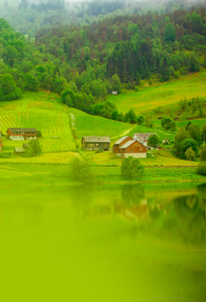 L.E. Aula 99 — O necessário e o supérfluo