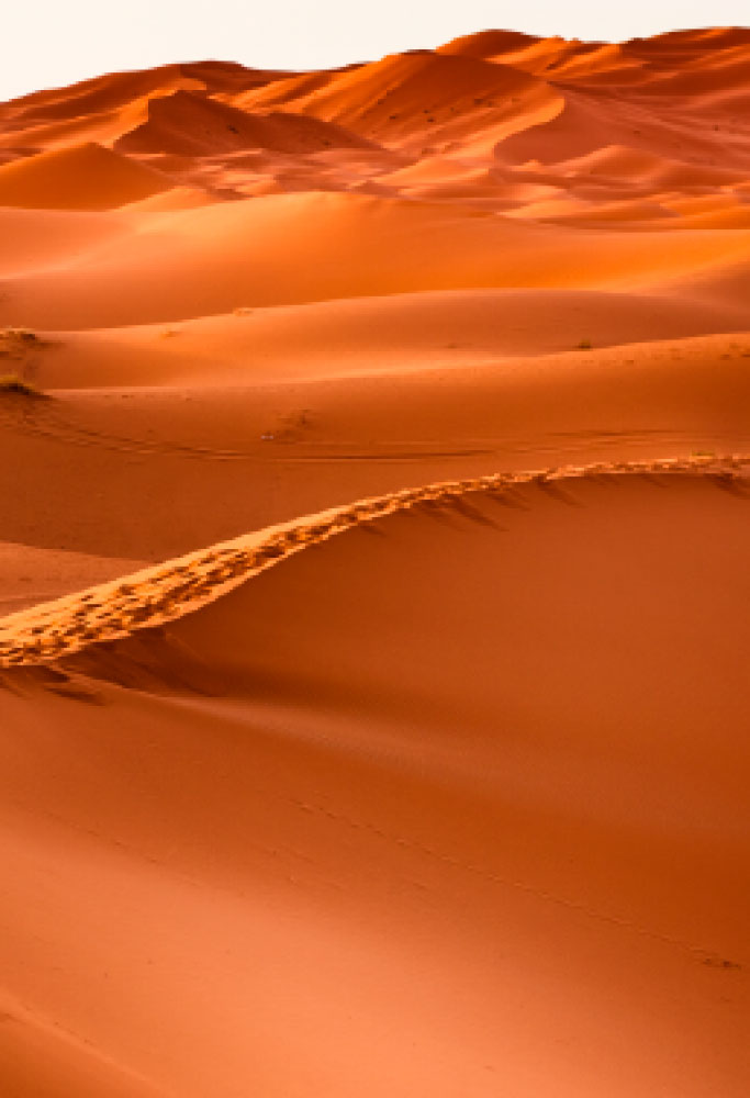 L.E. Aula 97 — Meios de conservação