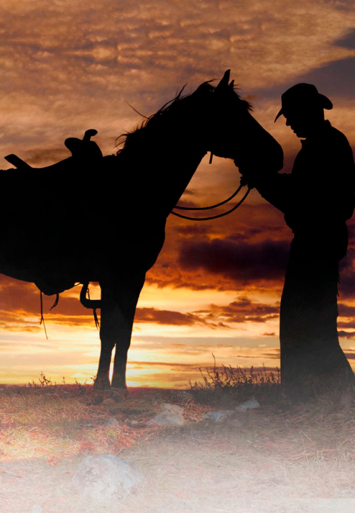 L.E. Aula 73 — Os animais e o homem — Parte 2/2