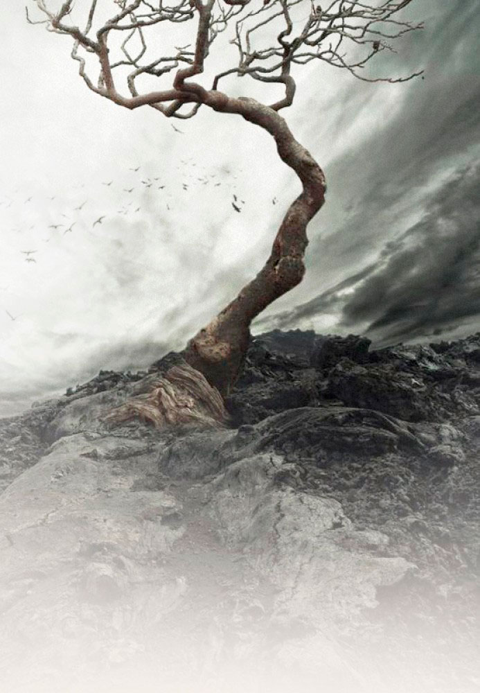 L.E. Aula 66 — Pactos