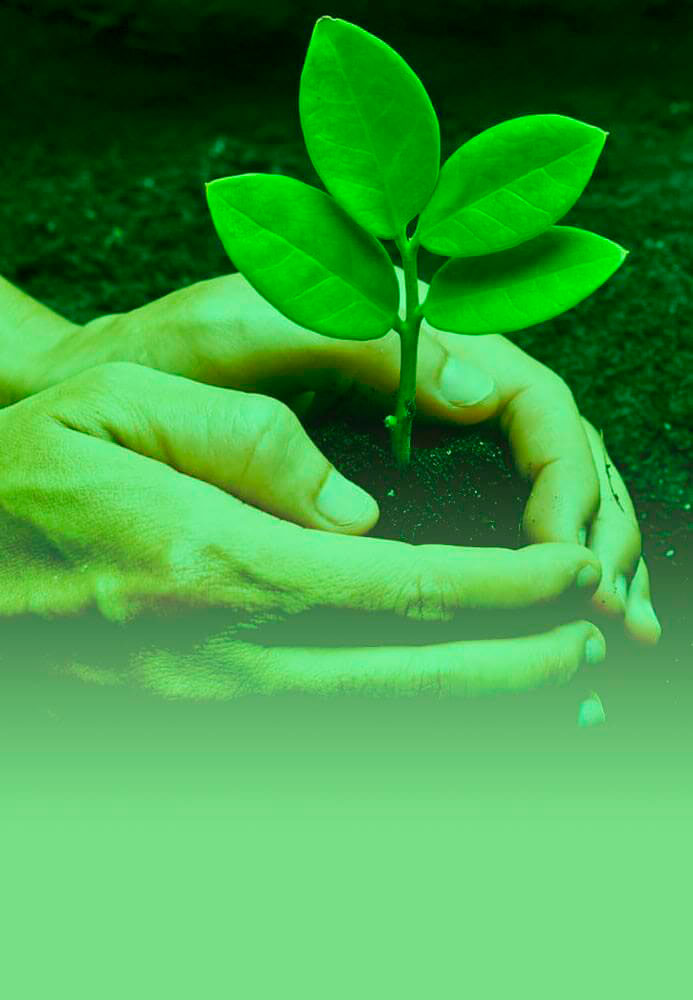 Ética e Sustentabilidade