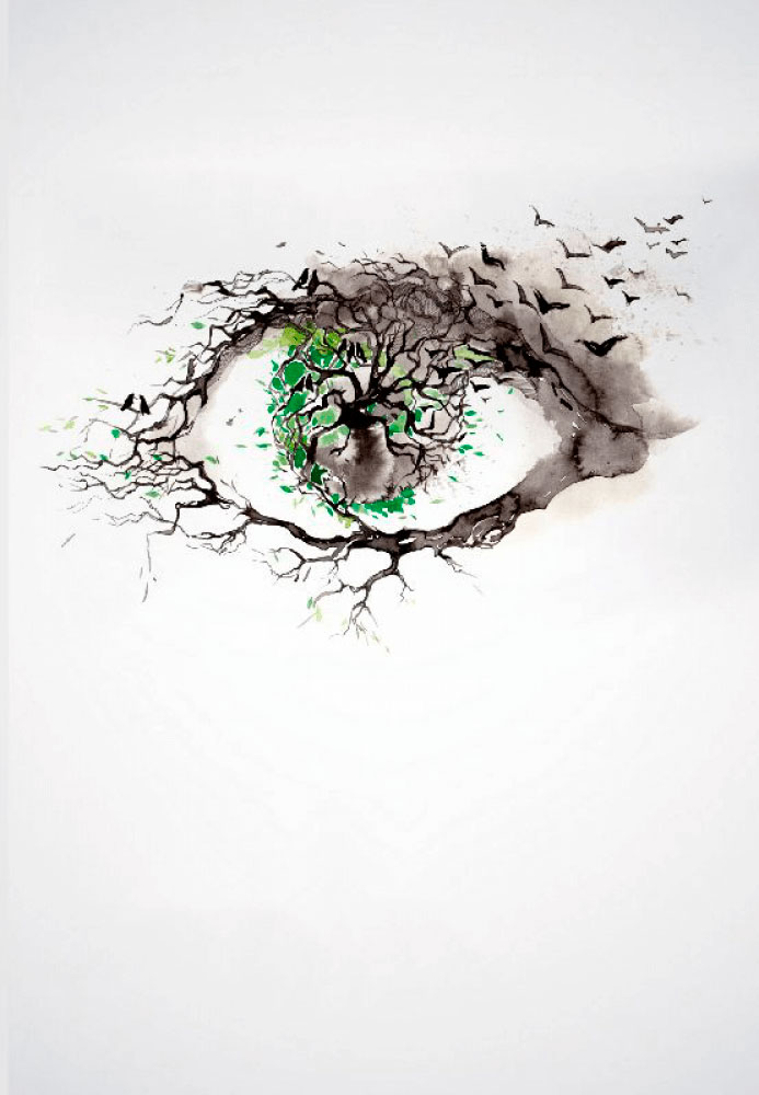 L.E. Aula 27 — Percepções